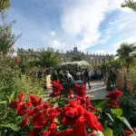 jardin2